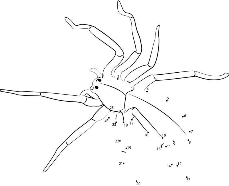 Green Huntsman Spider printable dot to dot worksheet