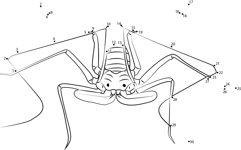 Scorpion Spider printable dot to dot worksheet