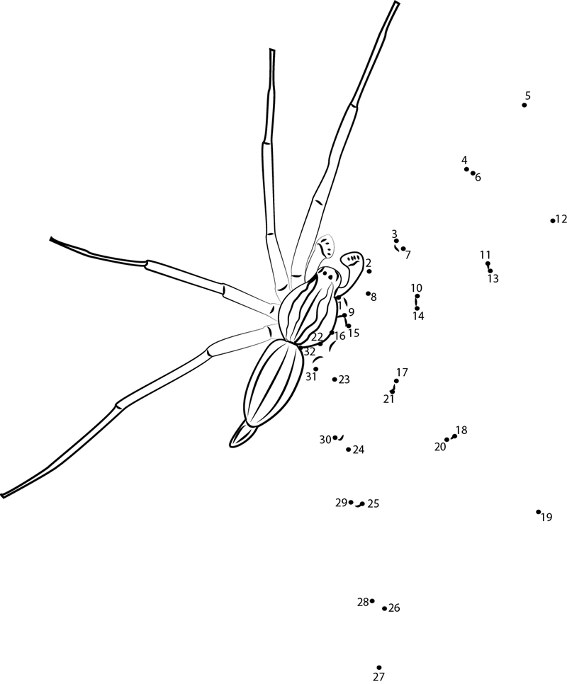 Small Spiders printable dot to dot worksheet