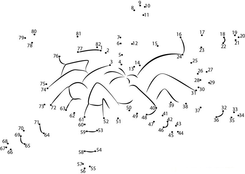 Spider printable dot to dot worksheet