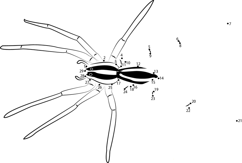 Wolf Spiders printable dot to dot worksheet