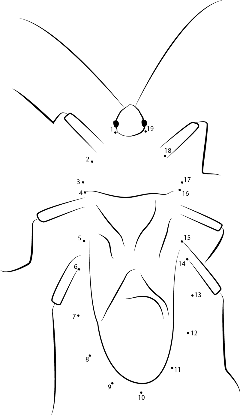 Horned Squash Bug printable dot to dot worksheet