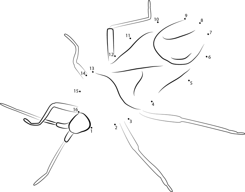 Squash printable dot to dot worksheet