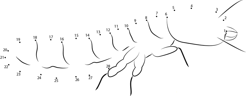 Drywood Termite Soldier printable dot to dot worksheet