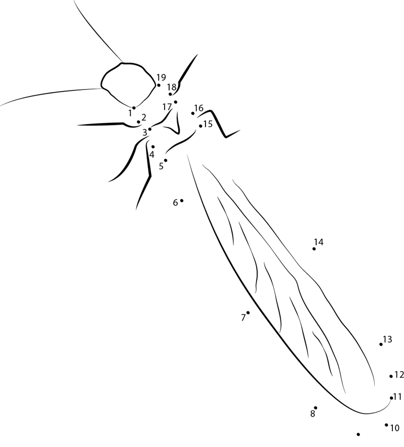 Drywood Termites printable dot to dot worksheet