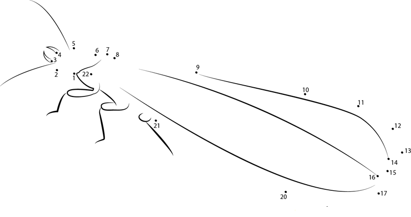 Worker Termite printable dot to dot worksheet