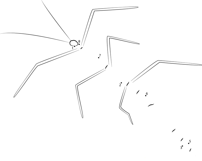 Phasmatoptera printable dot to dot worksheet