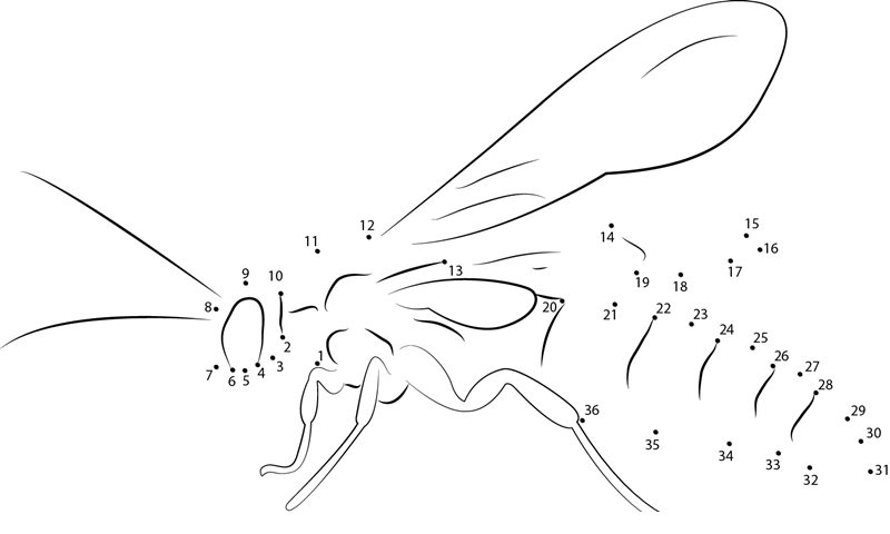 Black Flower Wasp printable dot to dot worksheet