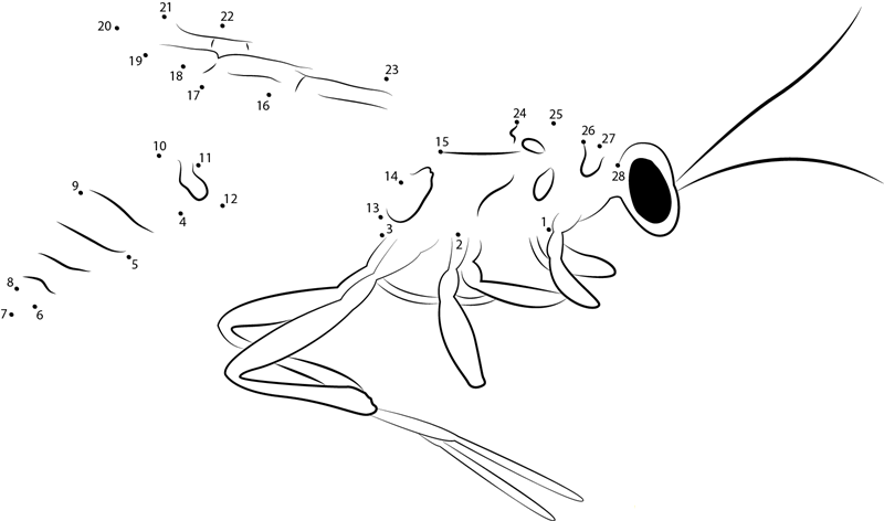 Common Wasp printable dot to dot worksheet