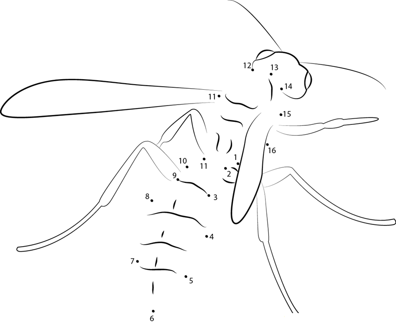 German Wasp printable dot to dot worksheet