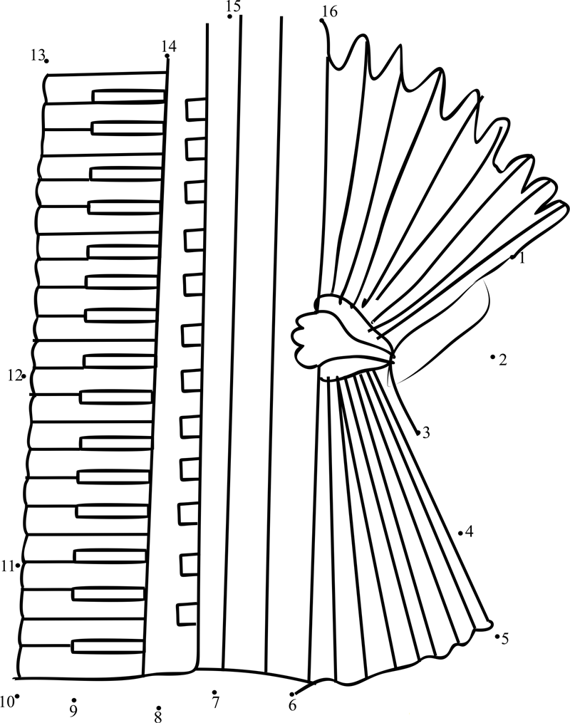 Curatorworld Of Accordion dot to dot worksheet