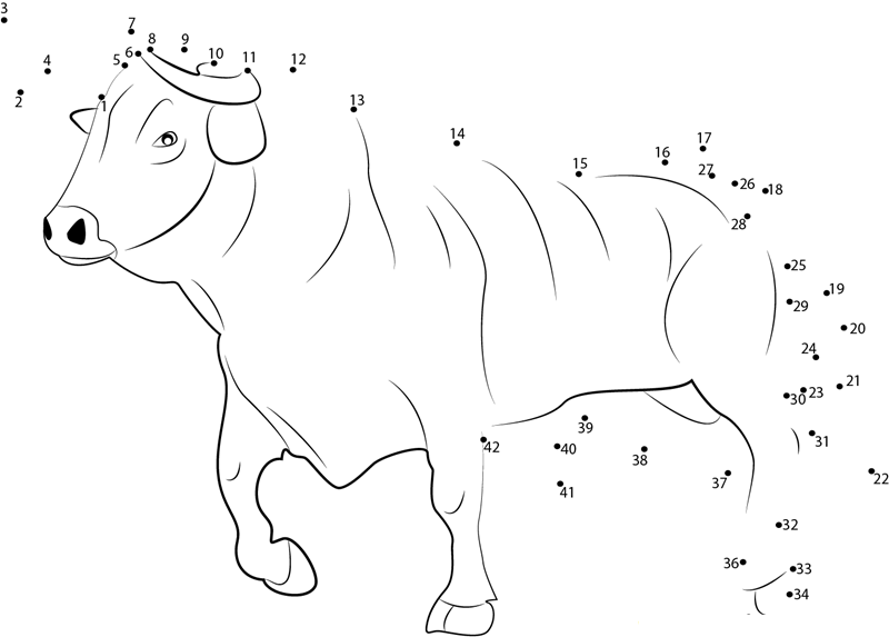 Bull Fighting printable dot to dot worksheet