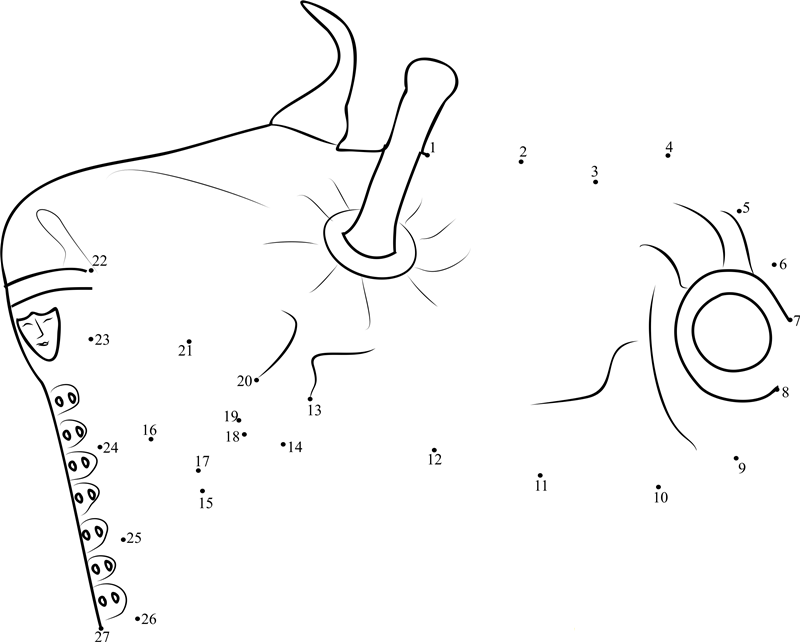 Croatian Bagpipe dot to dot worksheets