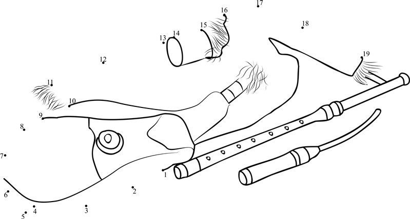 Irish Uilleann Bagpipe printable dot to dot worksheet