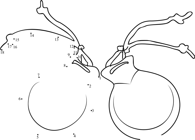 Handmade Castanet printable dot to dot worksheet