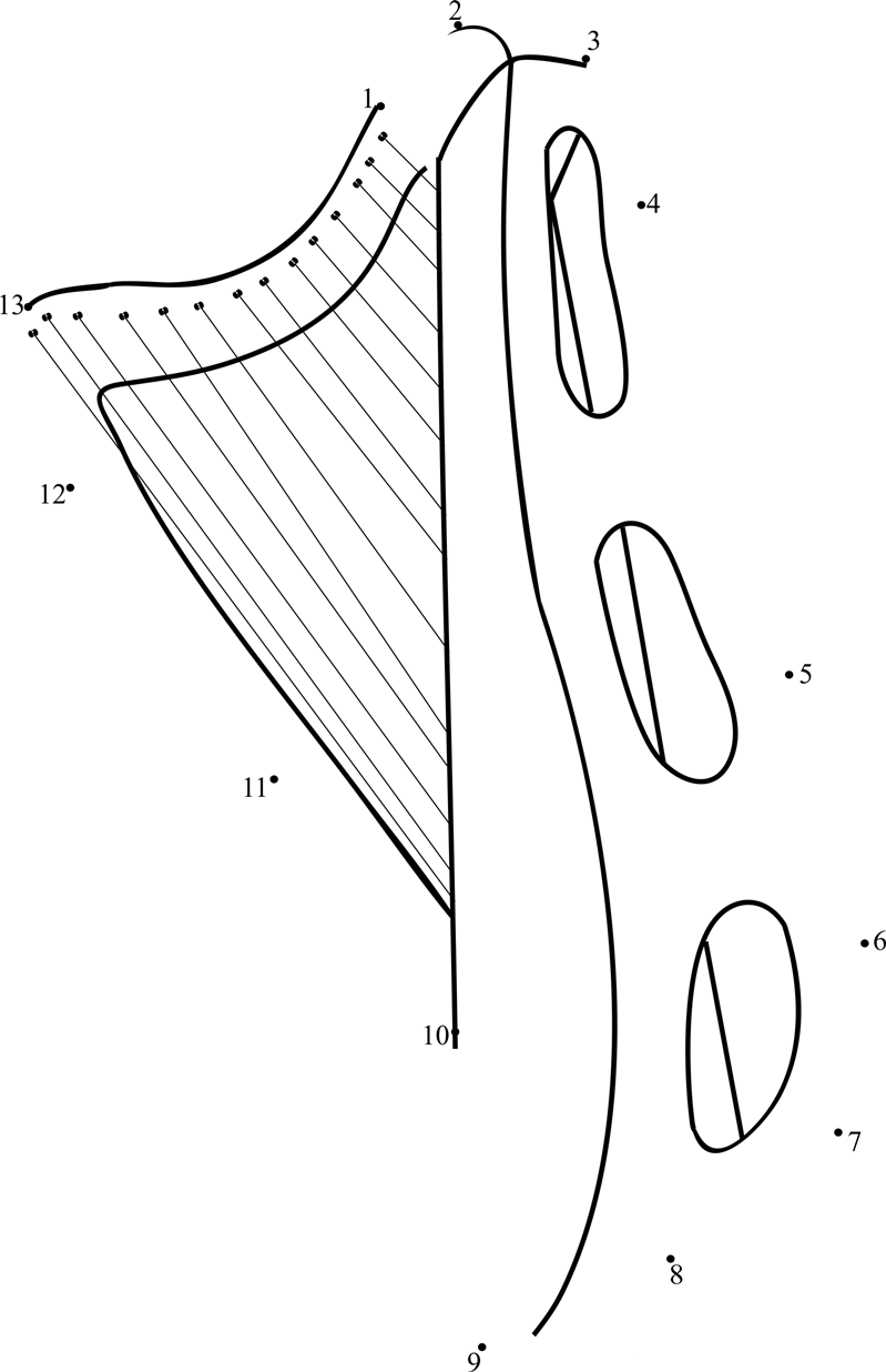 Lap Harp Back View printable dot to dot worksheet