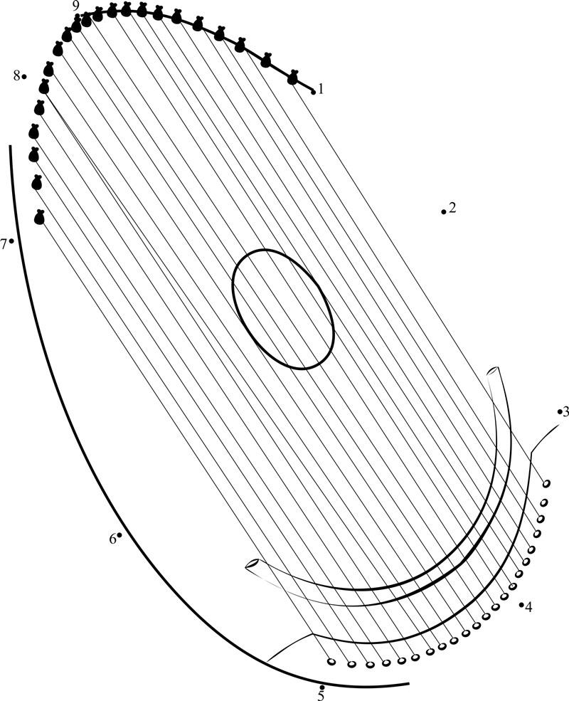 Sensory Harp printable dot to dot worksheet