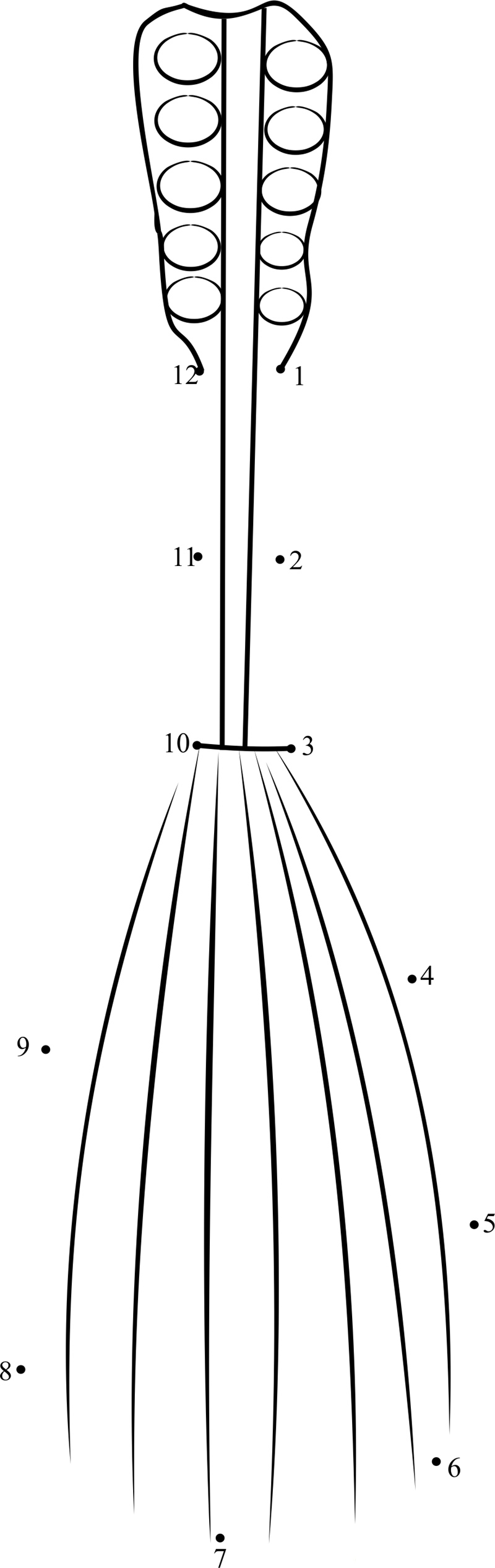 Bow Backed Mandolin printable dot to dot worksheet