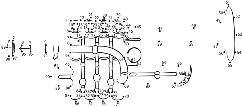 Piccolo Trumpet dot to dot worksheets