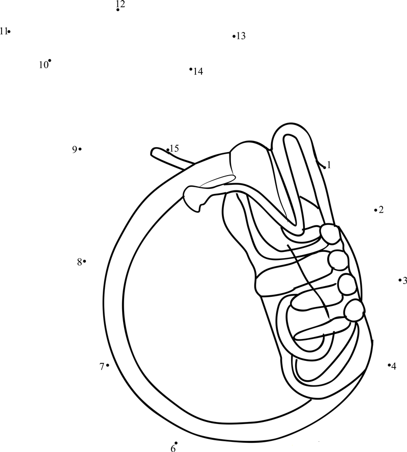 Helicon Tuba printable dot to dot worksheet