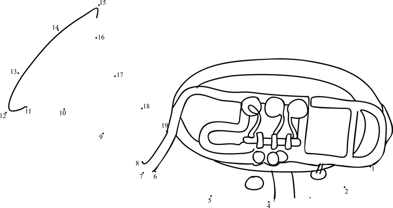 Lignatone Brass Alto Horn Tuba printable dot to dot worksheet