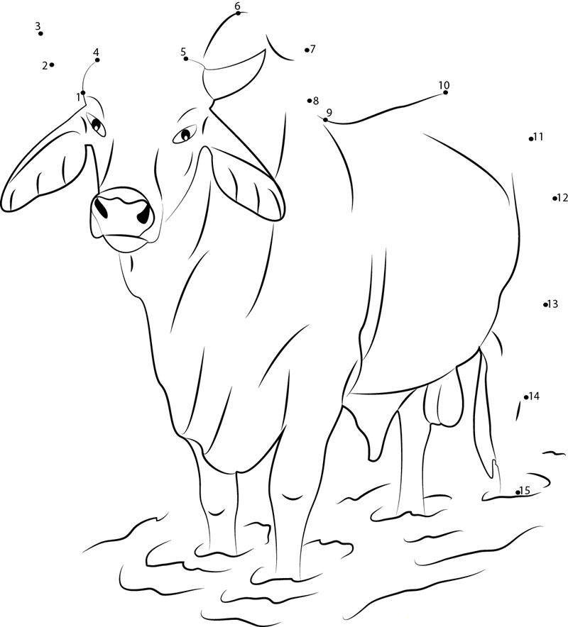 Gray Zebu Bull dot to dot worksheets