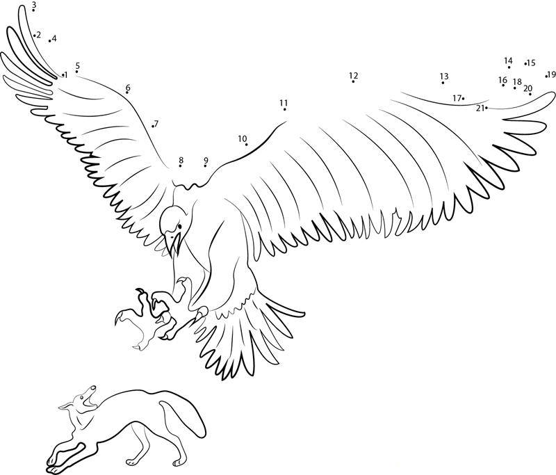 Thunderbird Attacking On Jackal printable dot to dot worksheet