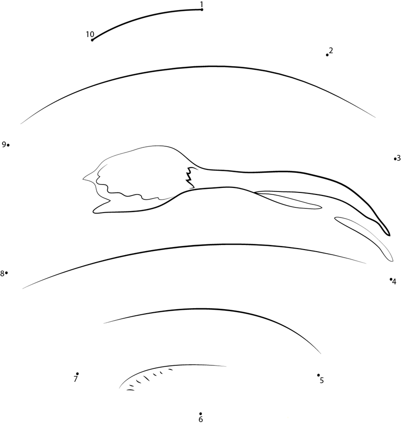 Neptune Hubble Shot dot to dot worksheets