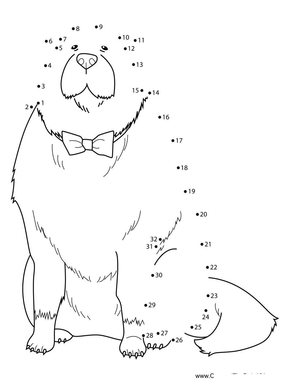 Bond-Forger-Spy-X-Family dot to dot worksheets