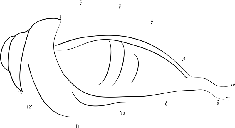 Significance Of Conch Shell Or Shankh In Hinduism dot to dot worksheets