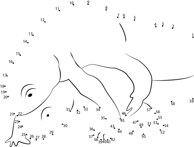 Salamander Slender Body dot to dot worksheets