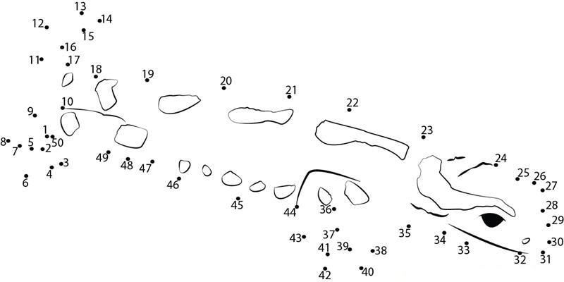 Very Smart Salamander dot to dot worksheets