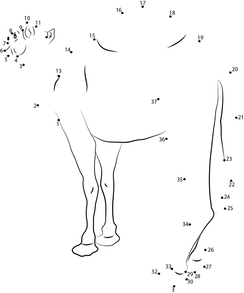 Arabian Camel dot to dot worksheets