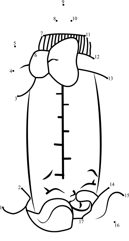 Dribbles-Shopkins-Dot-To-Dot printable dot to dot worksheet