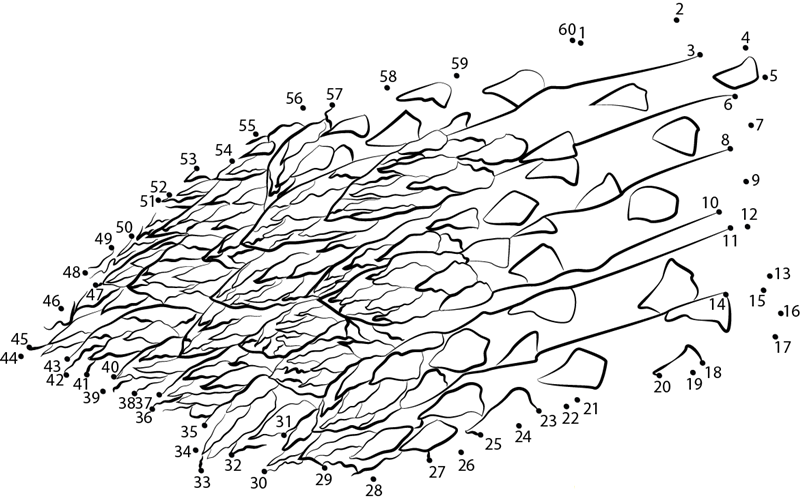 Lot Of Asparagus dot to dot worksheet