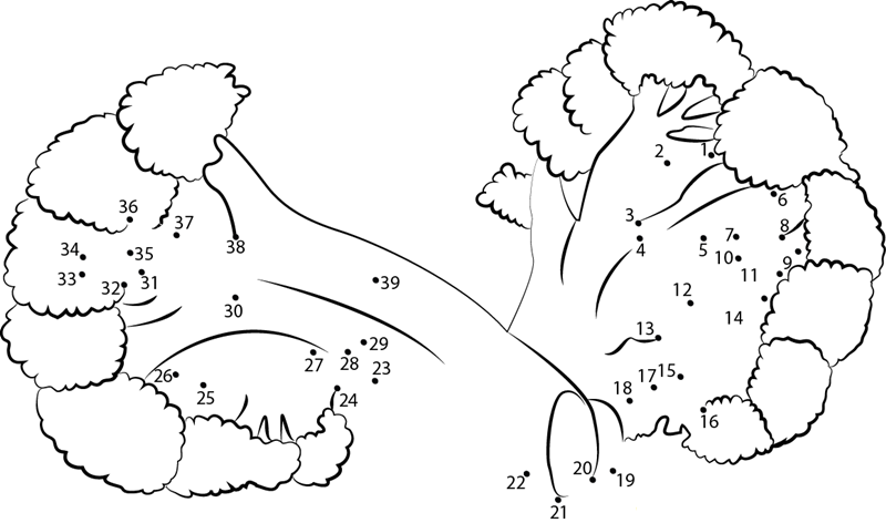 Broccoli 1 printable dot to dot worksheet