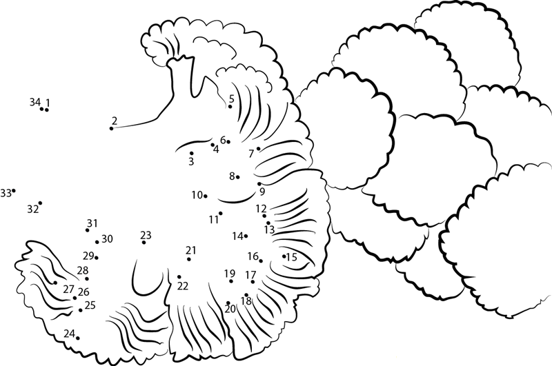 Broccoli 2 printable dot to dot worksheet