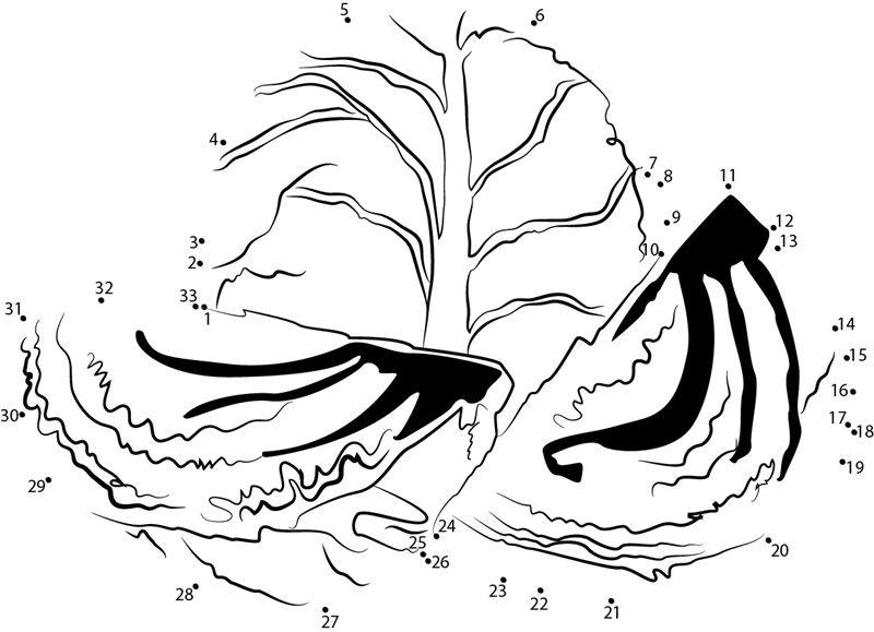 Cut Cabbage printable dot to dot worksheet