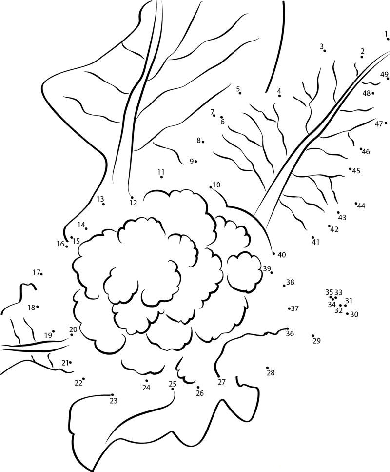 Cauliflower Brassica Oleracea printable dot to dot worksheet