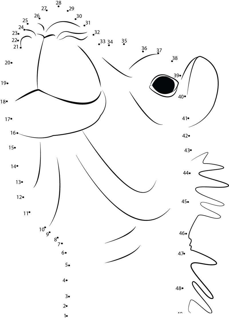 Camel Face dot to dot worksheets