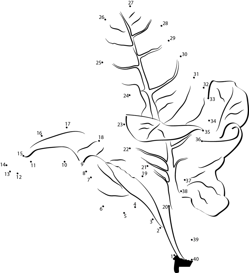 Chard Leaf For Salad Dressing dot to dot worksheets