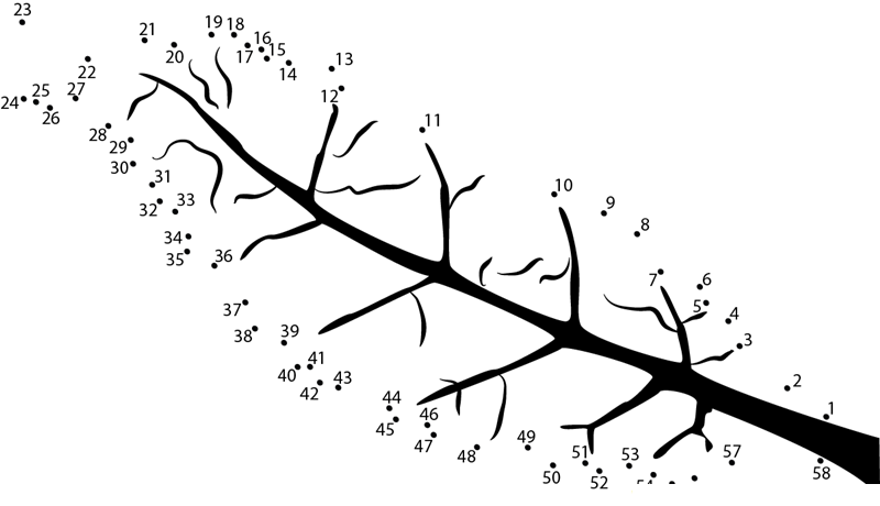 Chard Plant dot to dot worksheets