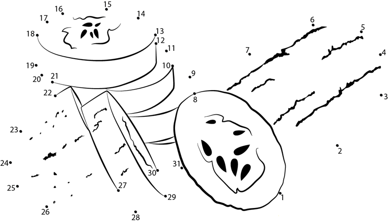 Cucumber Slices printable dot to dot worksheet