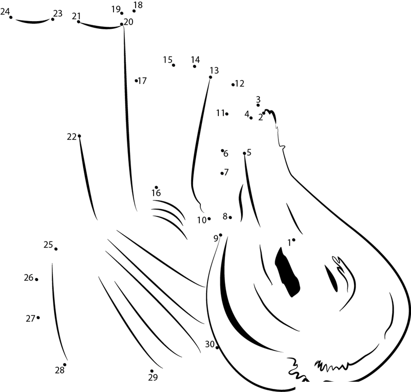 Fennel Herb dot to dot worksheets