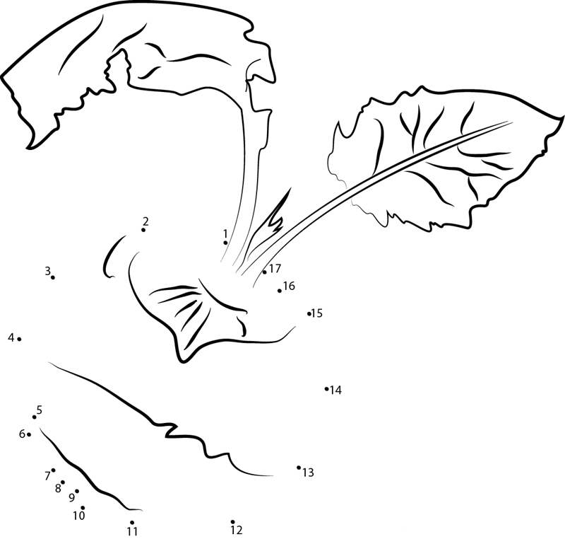 Kohlrabi With Leaf printable dot to dot worksheet