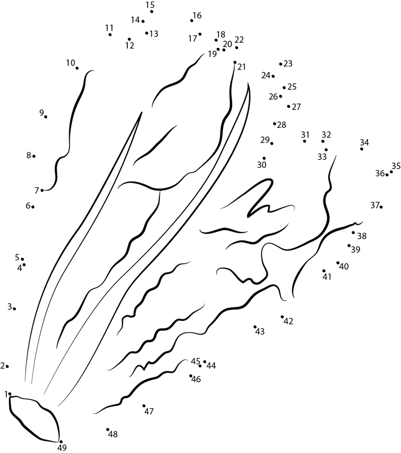 Lettuce Leaf printable dot to dot worksheet