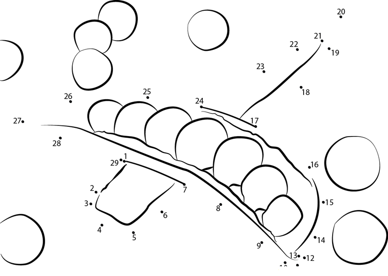 Pea Pod With Seeds printable dot to dot worksheet