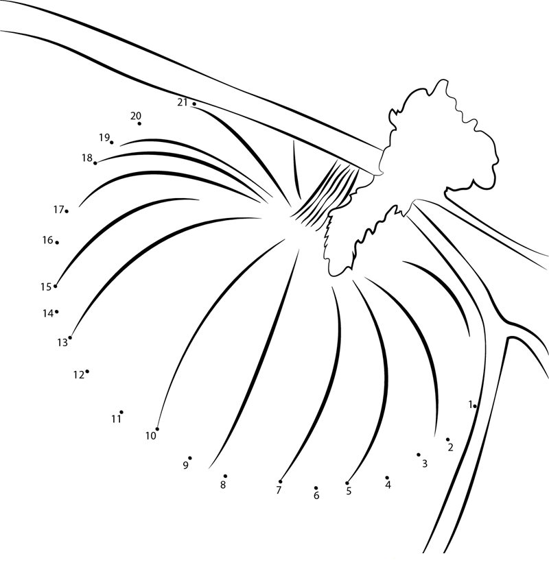 Pumpkin Attach To Branch printable dot to dot worksheet