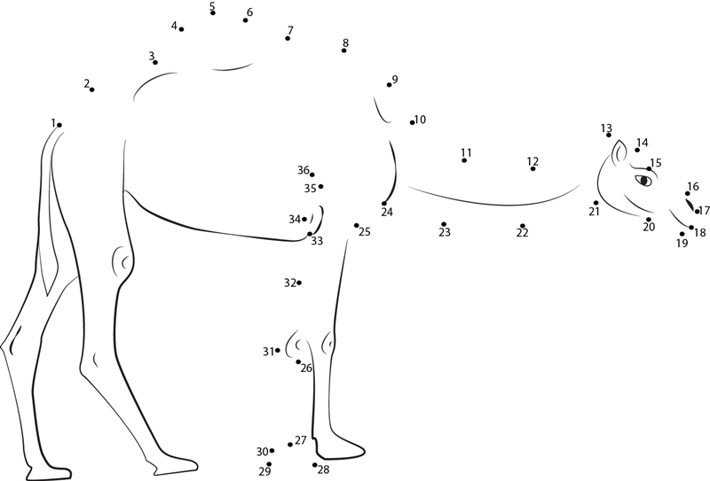 Camel On Road dot to dot worksheets