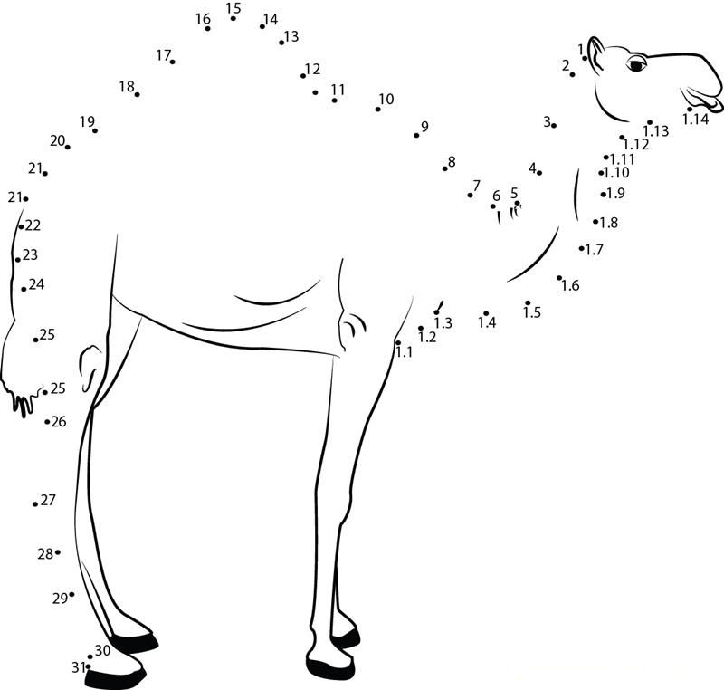 Camel Side Pose printable dot to dot worksheet